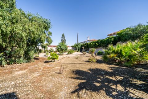 Villa i La Marina, Alicante, La Marina - € 445.500 | Ref: 6166 - foto 36